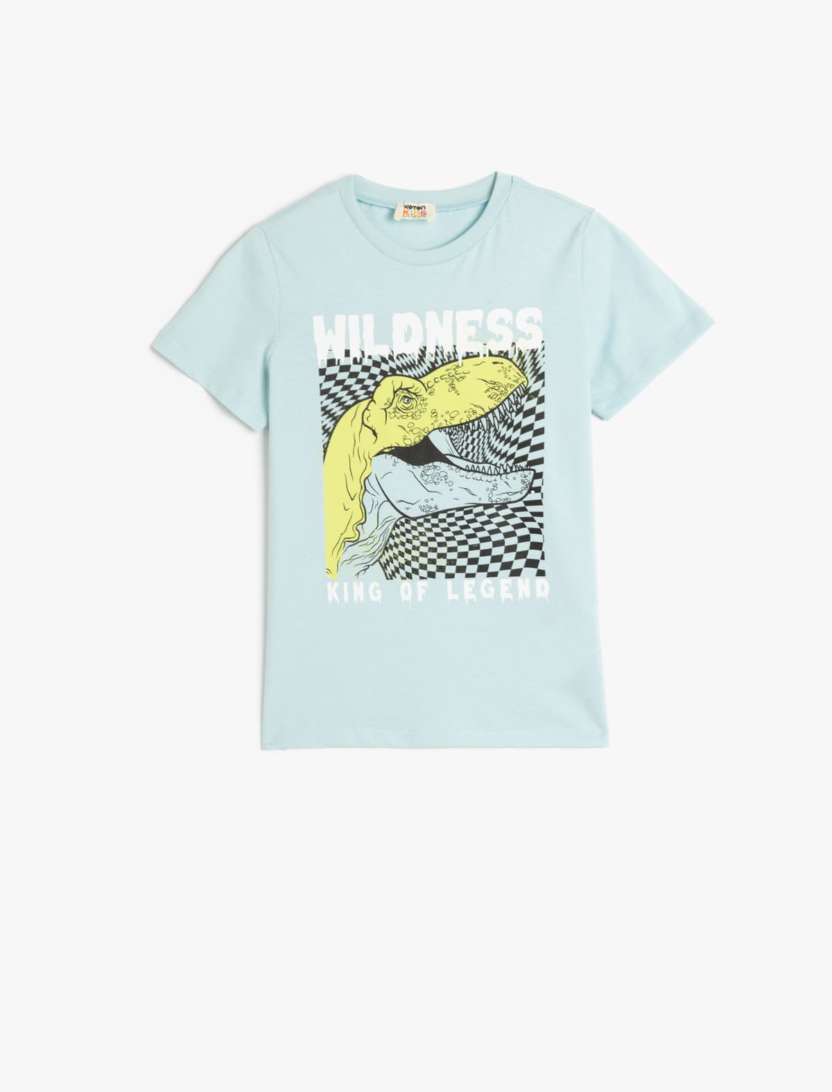 Pambıq Qısaqol Ekipaj Yaka Dinozavr Çaplı T-shirt