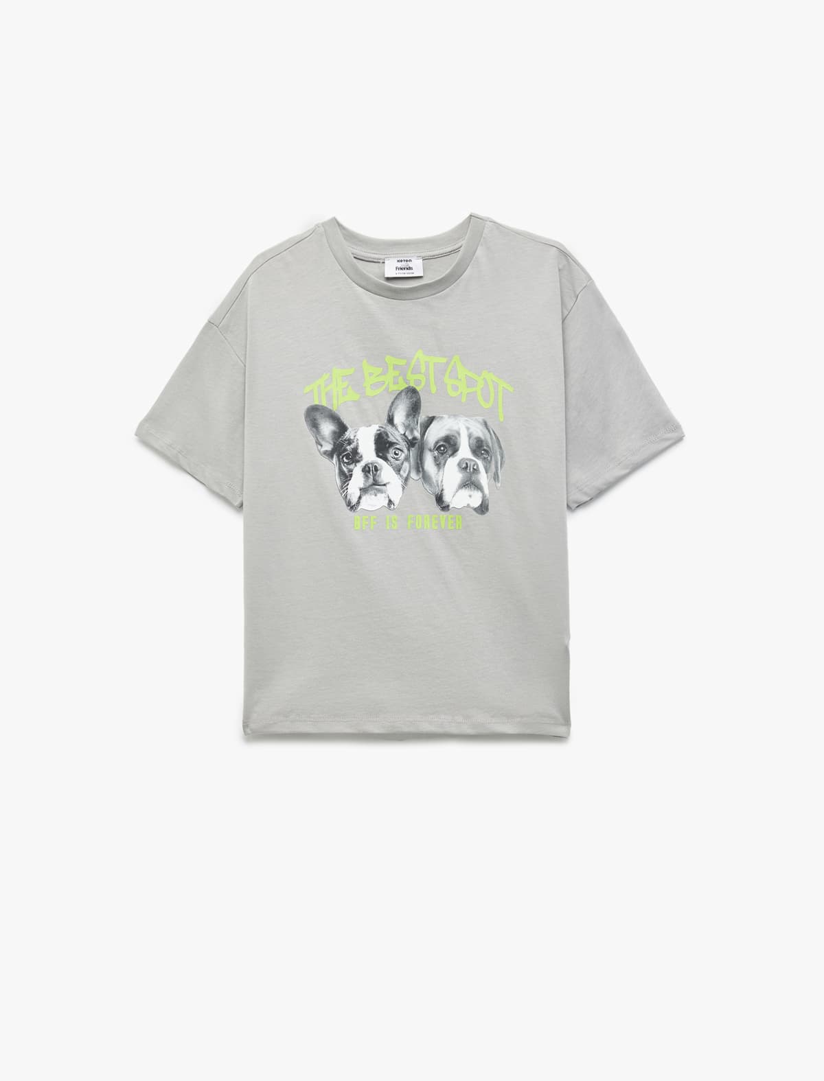İt Çaplı Qısaqol Ekipaj Yakalı Pambıq Böyük Boy T-shirt