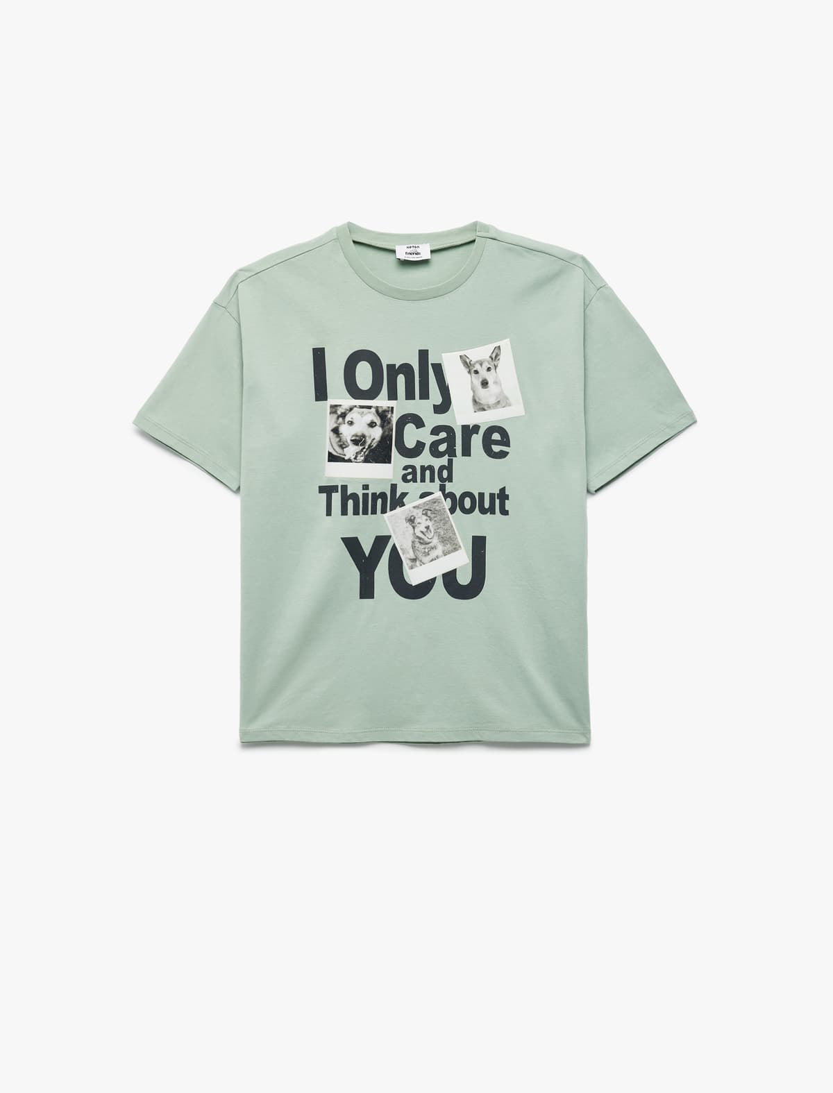 Qısaqol Ekipaj Yaka Pambıq Pişik və İt Çaplı T-shirt