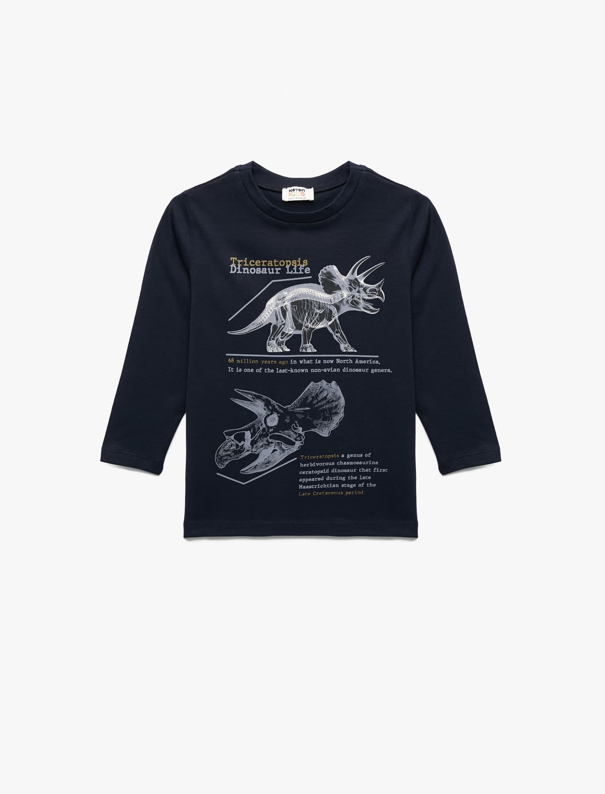 T-shirt uzunqol